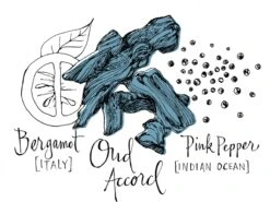 Atelier Cologne Oud Saphir -Mode Parfums Magasin atelier cologne oud saphir eau de parfum mixte 5