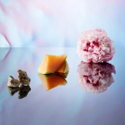 Banderas Blue Seduction For Her -Mode Parfums Magasin banderas blue seduction for her eau de toilette pour femme 4