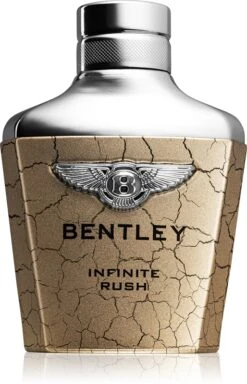 Bentley Infinite Rush