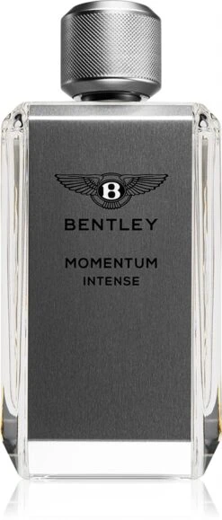 Bentley Momentum Intense