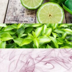 Calvin Klein CK One -Mode Parfums Magasin calvin klein ck one eau de toilette mixte 1