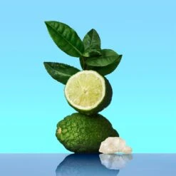 Calvin Klein CK One -Mode Parfums Magasin calvin klein ck one eau de toilette mixte 2