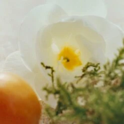 Chloé Nomade Jasmin Naturel -Mode Parfums Magasin chloe nomade jasmin naturel eau de parfum new design pour femme 4