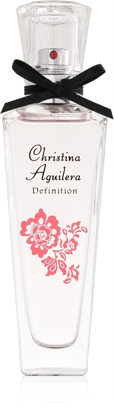 Christina Aguilera Definition