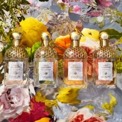 GUERLAIN Aqua Allegoria Flora Cherrysia -Mode Parfums Magasin guerlain aqua allegoria flora cherrysia eau de toilette rechargeable pour femme 6