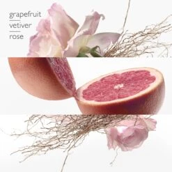 Hermès HERMÈS Concentré De Pamplemousse Rose -Mode Parfums Magasin hermes concentre de pamplemousse rose eau de toilette mixte