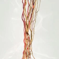 Hugo Boss BOSS Alive Parfum -Mode Parfums Magasin hugo boss boss alive parfum parfum pour femme 4