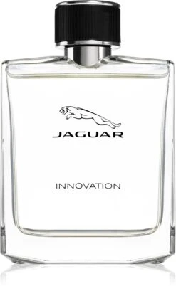 Jaguar Innovation