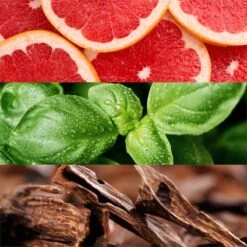 Lacoste Booster -Mode Parfums Magasin lacoste booster eau de toilette pour homme 1