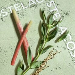 Lacoste Match Point Cologne -Mode Parfums Magasin lacoste match point cologne eau de toilette pour homme 3