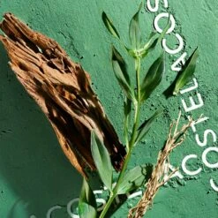 Lacoste Match Point Cologne -Mode Parfums Magasin lacoste match point cologne eau de toilette pour homme 4