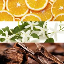 Lacoste Touch Of Pink -Mode Parfums Magasin lacoste touch of pink eau de toilette pour femme 1