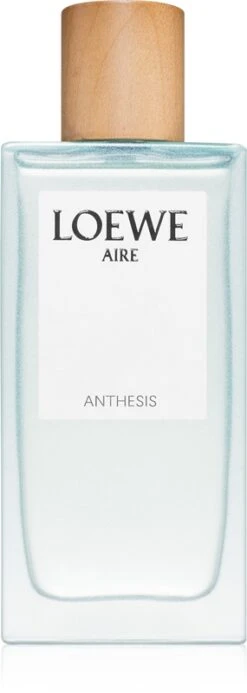 Loewe Aire Anthesis