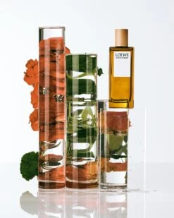 Loewe Loewe Pour Homme -Mode Parfums Magasin loewe loewe pour homme eau de toilette pour homme 1