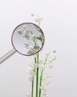 Miu Miu Fleur D'Argent -Mode Parfums Magasin miu miu fleur dargent eau de parfum absolue pour femme 1