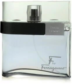 Salvatore Ferragamo F By Ferragamo Black